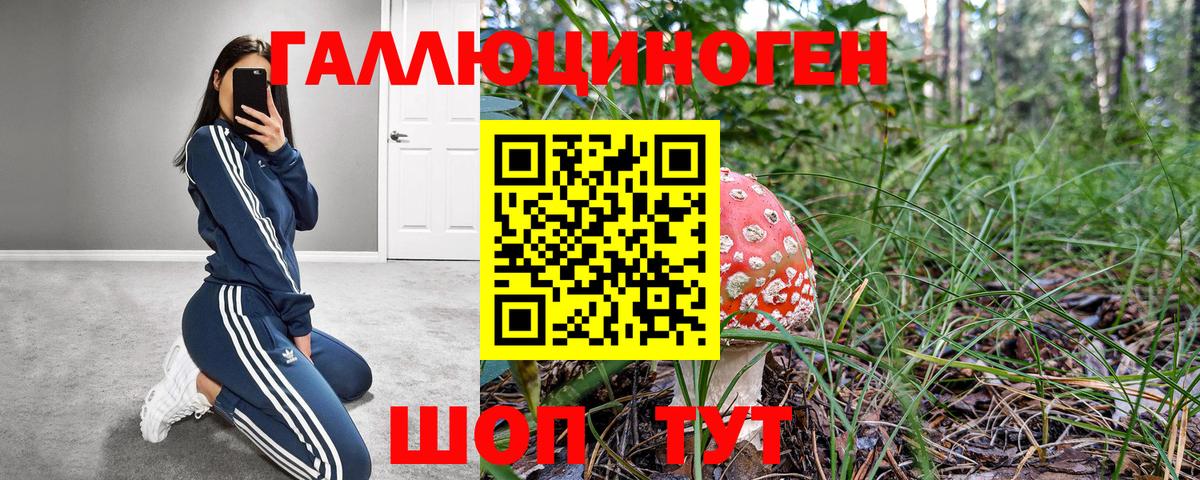 Галлюциногенные грибы GOLDEN TEACHER Грязи