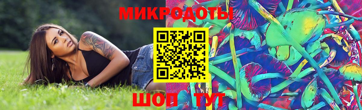 Псилоцибиновые грибы Psilocybe  Вход с VPN  Грязи 